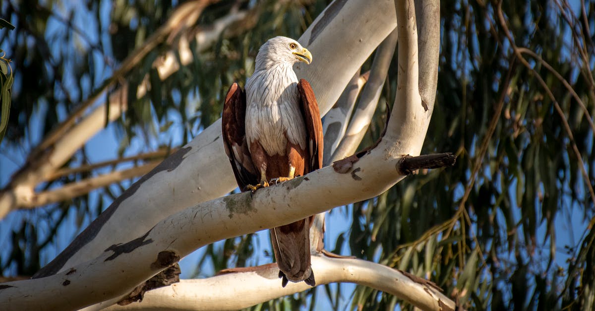 Best Practices for Installing Commercial Drainage Solutions