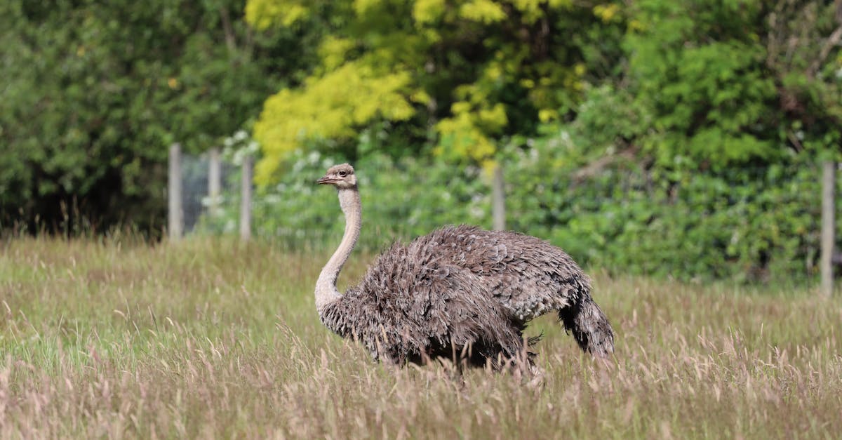 Choosing the Right Fixtures for Your Bathroom Makeover