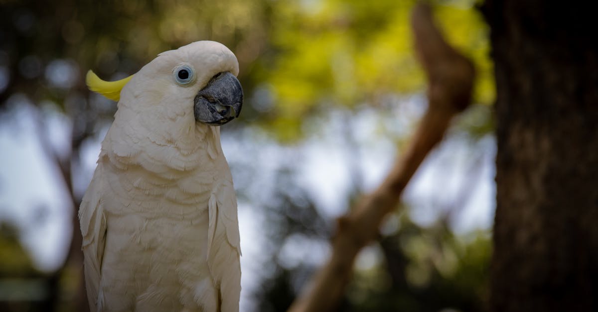 Cost-Effective Drain Cleaning Techniques for Homeowners