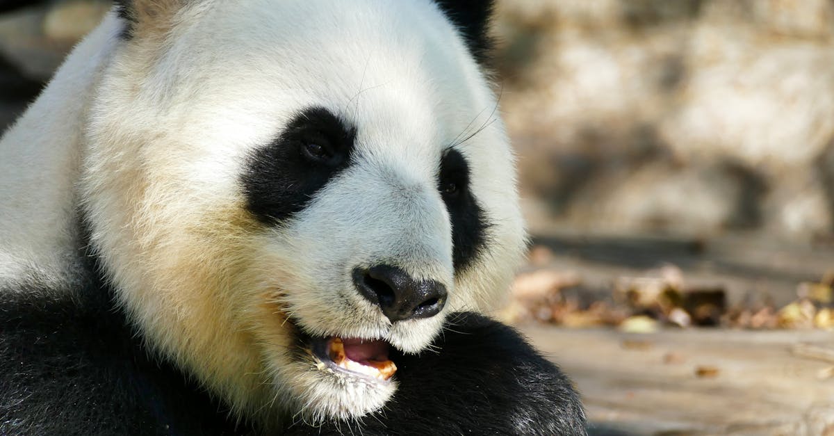 Ensuring Compliance: Water Heater Standards for Commercial Properties