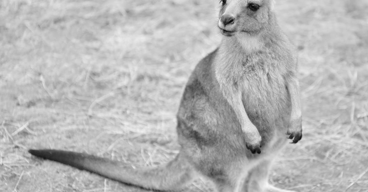 How to Choose the Right Hot Water System for Your Family's Needs