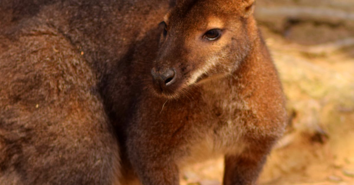 How Weather Conditions Contribute to Burst Pipe Situations
