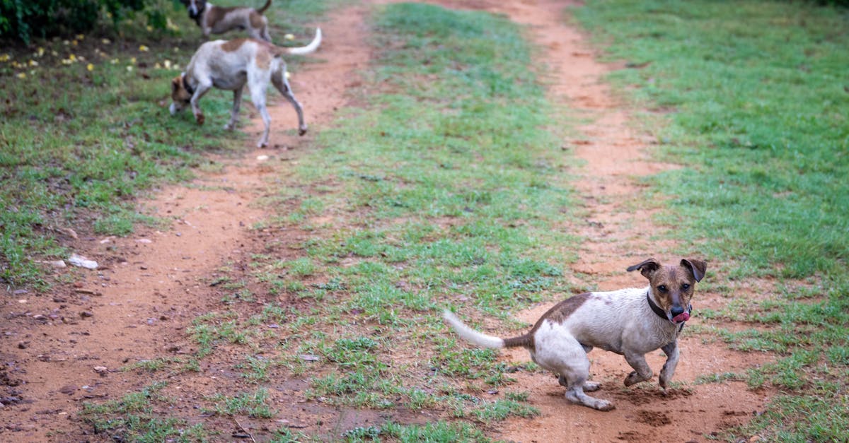 Innovative Technologies in Commercial Drainage Systems