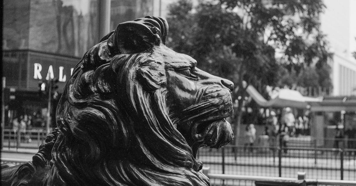 The Impact of Environmental Factors on Commercial Drainage Systems