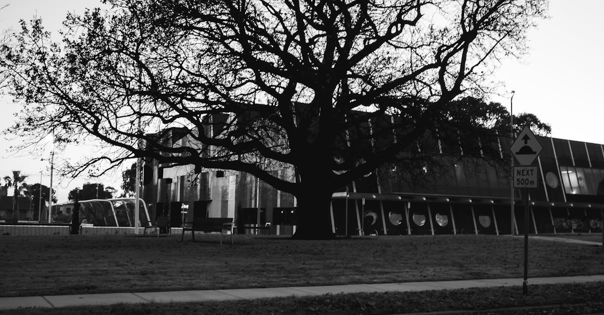 The Importance of Hiring Professional Plumbers for Bathroom Renovations