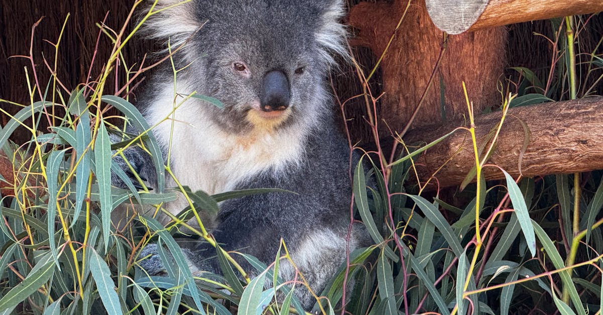 Troubleshooting Common Commercial Drainage Problems